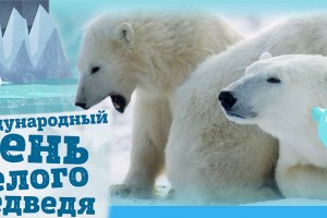 Международный день полярного медведя