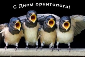 День орнитолога в России