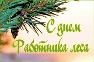С днём работника леса!