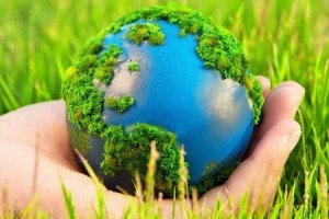 День экологического образования