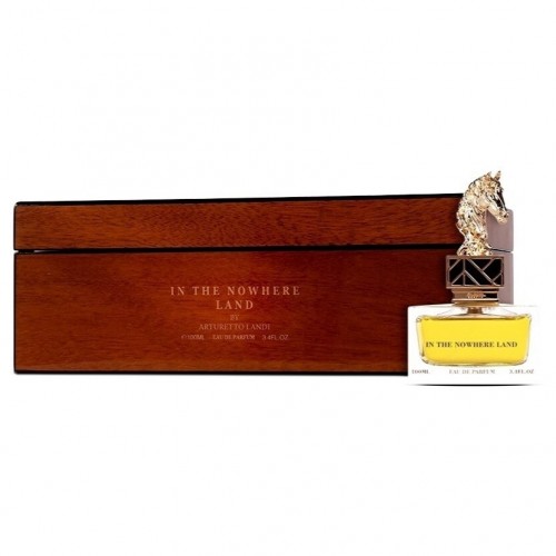 Парфюмерная вода Aurora Scents In The Nowhere Land унисекс (Luxe)