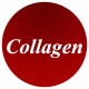 Collagen